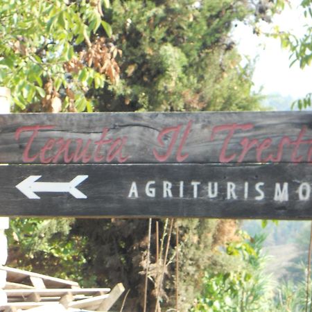 Tenuta Il Tresto Poggibonsi Ngoại thất bức ảnh