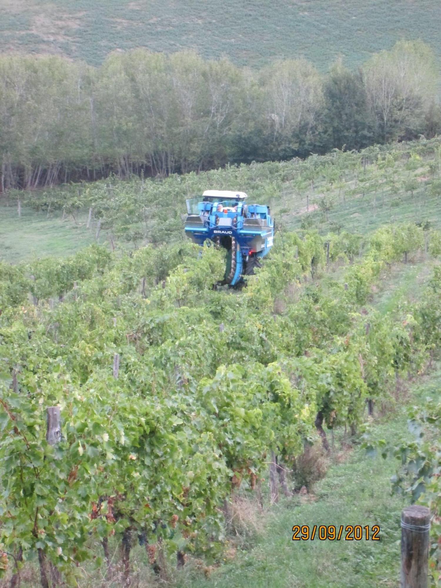 Tenuta Il Tresto Poggibonsi Ngoại thất bức ảnh