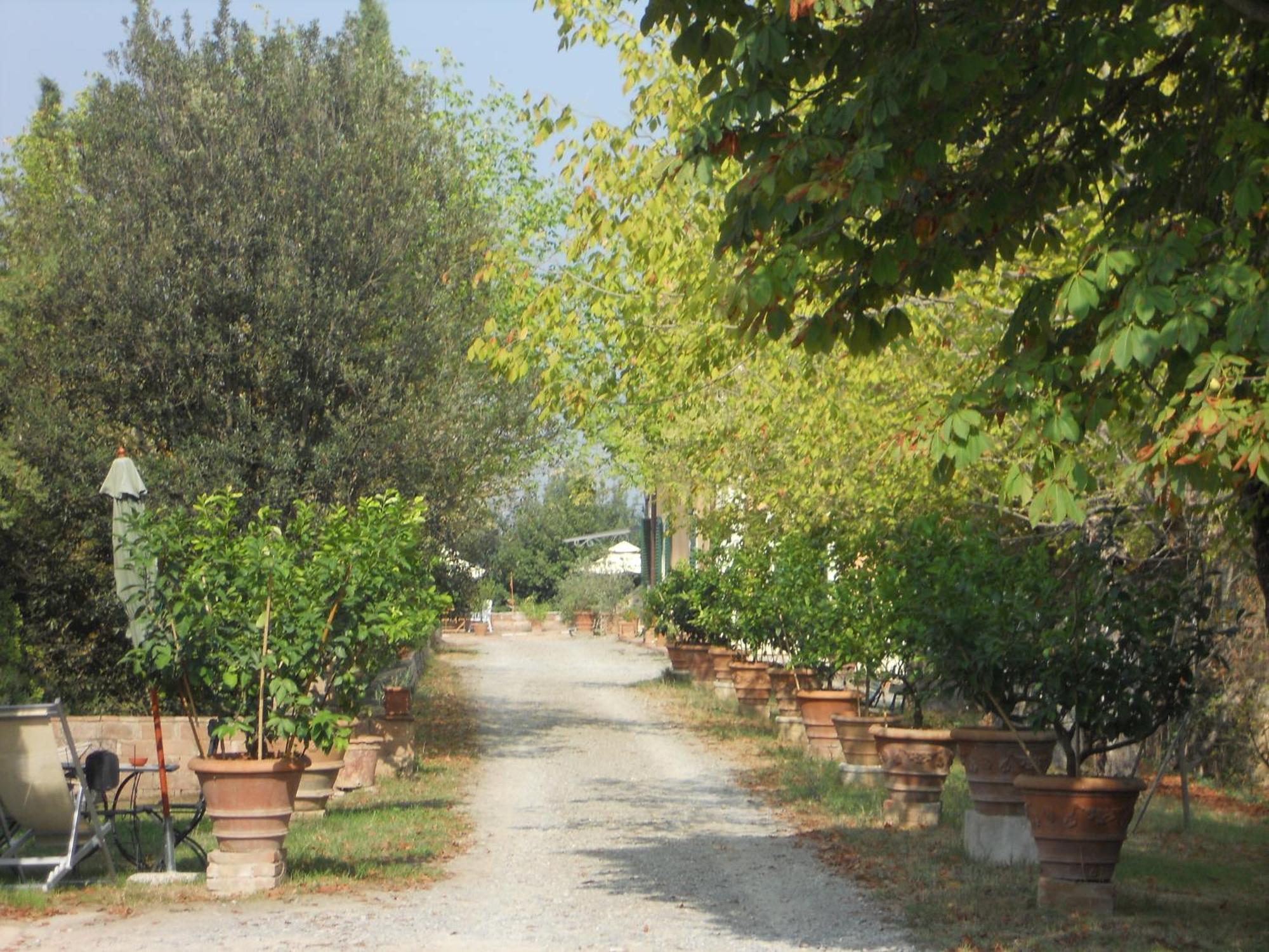Tenuta Il Tresto Poggibonsi Ngoại thất bức ảnh