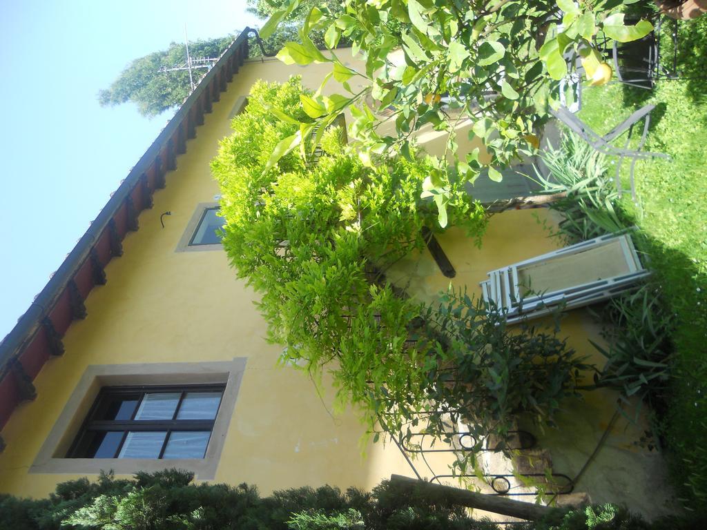 Tenuta Il Tresto Poggibonsi Ngoại thất bức ảnh