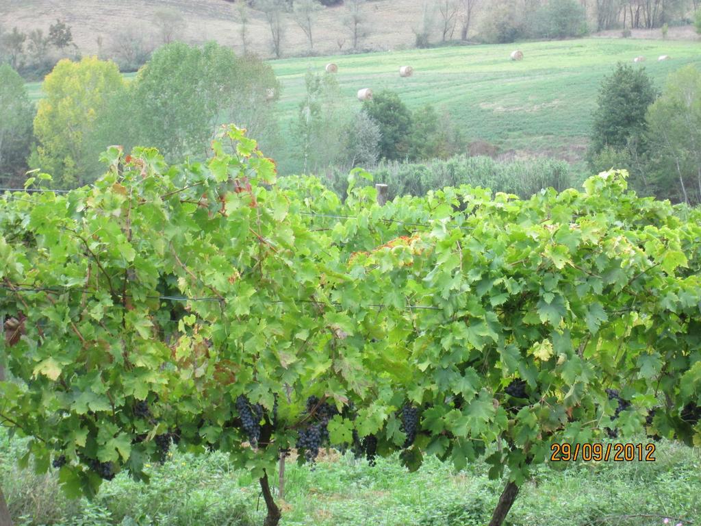 Tenuta Il Tresto Poggibonsi Ngoại thất bức ảnh
