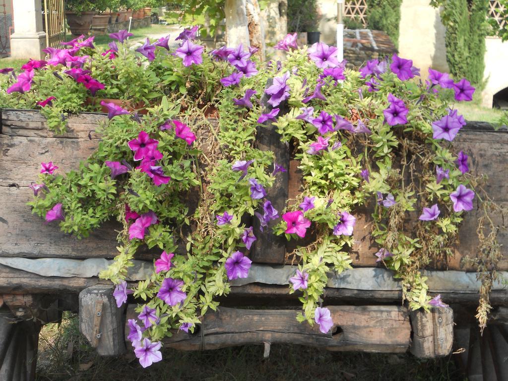 Tenuta Il Tresto Poggibonsi Ngoại thất bức ảnh